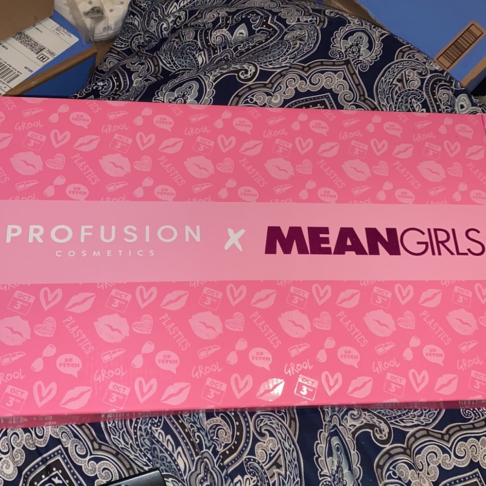 COPY - Profusion cosmetics mean girl collab